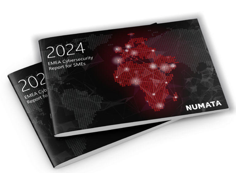2024 EMEA Cybersecurity Report for SMEs