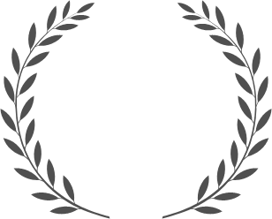 logo Cyber Essentials Plus x2